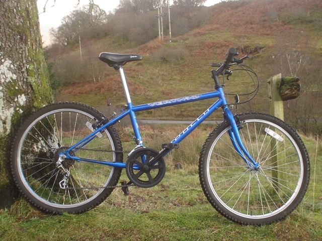 blue apollo mountain bike