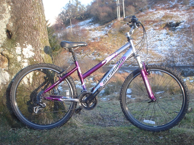 barracuda ladies mountain bike