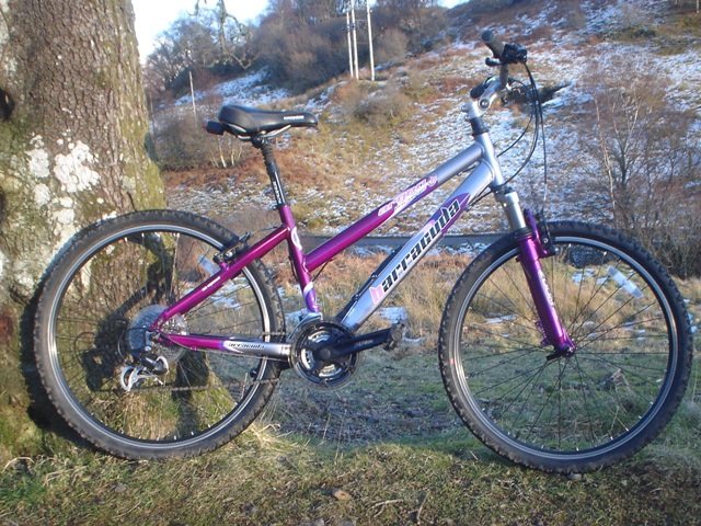 barracuda ladies mountain bike