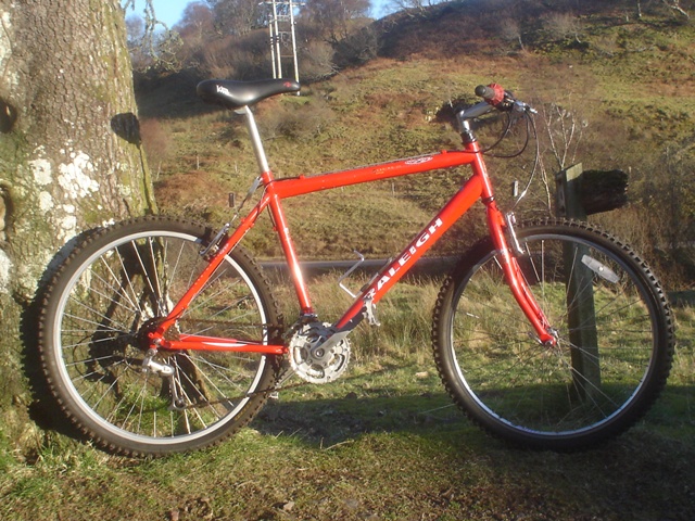 1990 raleigh mountain bike